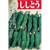 作りやすく多収種!　ししとう(一般種)　数量:2ml