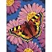 Dimensions Needlecrafts Paintworks Paint By Number, Butterfly Blossom