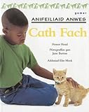 Cath fach