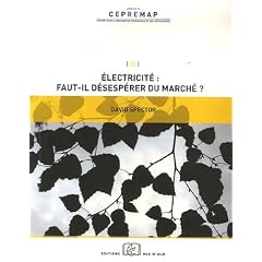 Electricit� : faut-il d�sesp�rer du march� ?