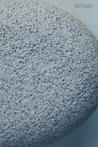 Diet Tracker (The Discreet Food Log for Diet Success) (Volume 4)