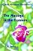 The Message in the Transom (Cassie Kingston Mysteries)