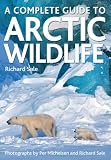 A Complete Guide to Arctic Wildlife