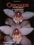 Orchids Simplified: An Indoor Gardening Guide