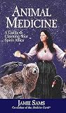 Animal Medicine: A Guide to Claiming Your Spirit Allies