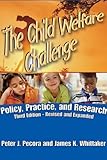 The child welfare challenge : policy, practice, and research