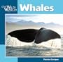 Whales (Our Wild World)