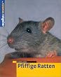 Pfiffige Ratten