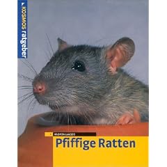 Pfiffige Ratten