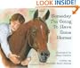 Someday I'm Going to Have Some Horses