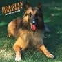 Belgian Tervuren 2007 Calendar