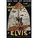 In Search Of Elvis: Music, Race, Art, Religion