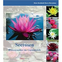 Seerosen: Bl�tenpracht im Gartenteich