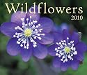 Wildflowers 2010 (Calendar)