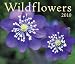 Wildflowers 2010 (Calendar)