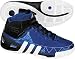 adidas Men's TS Commander Team Basketball Shoes