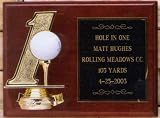 Golf Hole In One Plaque Display Nice Gift