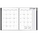 DayMinder Monthly Planner 2017, 8-1/2 x 11
