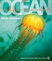 Ocean (American Museum of Natural History)