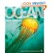 Ocean (American Museum of Natural History)
