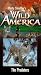  : Marty Stouffer's Wild America - The Predators