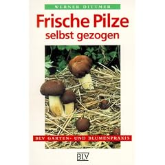Frische Pilze selbst gezogen.