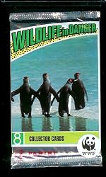 Wildlife in Danger Collector Cards Pack - 8 cards per pack