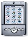 Palm Tungsten