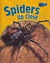 Spiders Up Close (Perspectives)