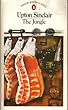 The Jungle (Modern Classics)
