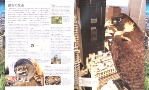 Cover image : 世界動物大図鑑―ANIMAL DKブックシリーズ