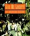 Third Party New : Give Me Liberty!: An American History, One-Volume Edition
