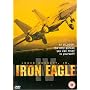 Iron Eagle 4 [DVD] [1995]