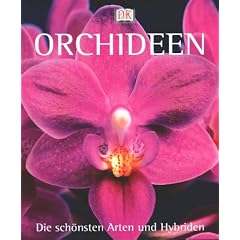 Orchideen
