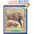 Elephants (True Books)