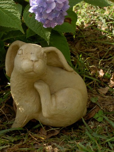 Grooming Bunny