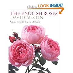 The English Roses: Classic Favorites & New Selections
