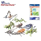 Insects (Grasshopper, Stag Beetle, Cicada, Praying Mantis, Gold Beetle, Long-Horned Beetle, Swallowtail Butterfly, & Katydid) 3D Puzzle Model Decoration