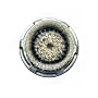 Clarisonic Replacement Brush Head for Delicate Skin