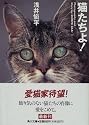 猫たちよ! (角川文庫)