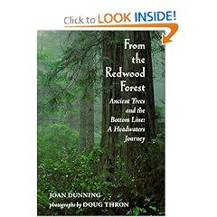 From the Redwood Forest : Ancient Trees and the Bottom Line: A Headwaters Journey