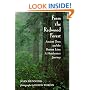 From the Redwood Forest : Ancient Trees and the Bottom Line: A Headwaters Journey