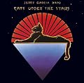 Cats Under the Stars