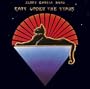 Cats Under the Stars