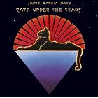 Cats Under the Stars by  Jerry Garcia 