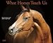What Horses Teach Us 2009 Calendar