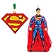 Hallmark Superman and Logo Set of Two Christmas Ornament