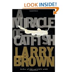 A Miracle of Catfish: A Novel