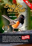 Bring On the Birds