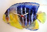 Queen Angel Fish Wall Clock - OC15